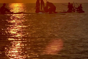 Barcelona: Paddleboard al Amanecer. Inc.: profesor, fotos, material