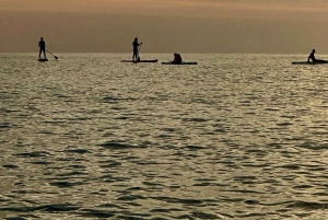 Barcelona: Paddleboard al Amanecer. Inc.: profesor, fotos, material