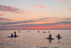 Barcelona: Paddleboarding at Sunrise or Sunset