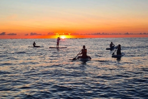 Barcelona: Paddleboarding at Sunrise or Sunset