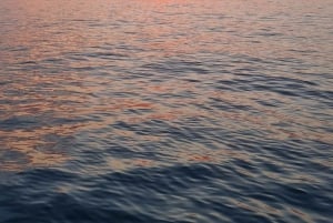 Barcelona: Paddleboarding at Sunrise or Sunset