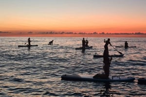 Barcelona: Paddleboarding at Sunrise or Sunset