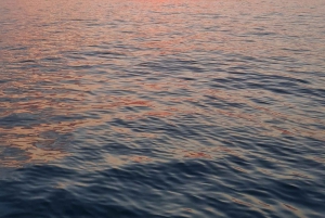 Barcelona: Padlebrett ved soloppgang eller solnedgang