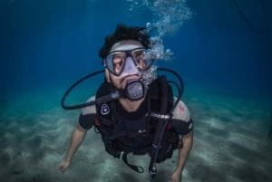 Barcelona: PADI Discover Scuba Diving