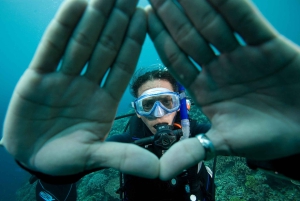 Barcelona: PADI Scuba Diver Kurs Certifieringsutbildning