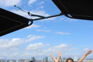 Barcelona: Laskuvarjohyppy 360º panoraamanäkymät taivaanrannasta.