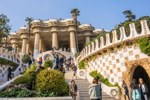 Barcelona: Park Güell Tour guiado y acceso prioritario