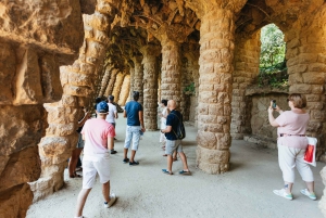 Barcelona: Park Güell Tour guiado y acceso prioritario