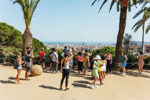 Barcelona: Park Güell Tour guiado y acceso prioritario