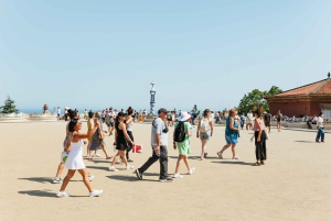 Barcelona: Park Güell Tour guiado y acceso prioritario