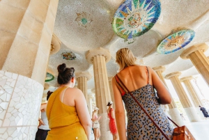Barcelona: Park Güell Tour guiado y acceso prioritario