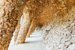 Barcelona: Park Güell Tour guiado y acceso prioritario