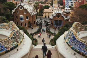 Barcellona: Tour guidato del Parco Güell con ingresso