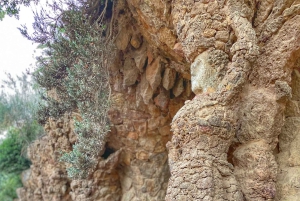 Barcelona: Rondleiding Park Güell met Entree