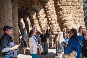 Barcelona: Park Guell Guidad tur med hoppa över kön inträde