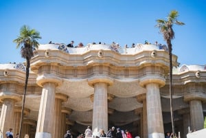 Barcelona: Park Guell Guidad tur med hoppa över kön inträde