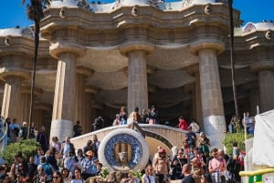 Barcelona: Park Guell Guidad tur med hoppa över kön inträde