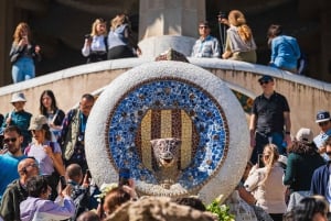 Barcelona: Park Guell Guidad tur med hoppa över kön inträde