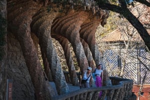 Barcelona: Park Guell Guidad tur med hoppa över kön inträde