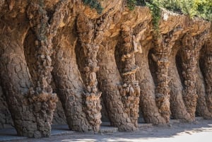 Barcelona: Park Guell Guidad tur med hoppa över kön inträde