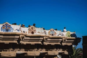 Barcelona: Park Guell Guidad tur med hoppa över kön inträde
