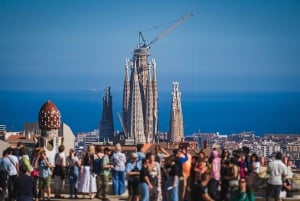 Barcelona: Park Guell Guidad tur med hoppa över kön inträde
