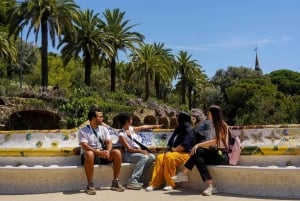 Barcelona: tour guiado por el Parque Güell con ticket de entrada sin colas