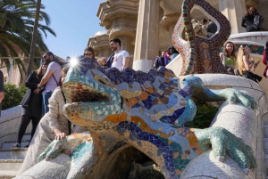 Barcelona: tour guiado por el Parque Güell con ticket de entrada sin colas