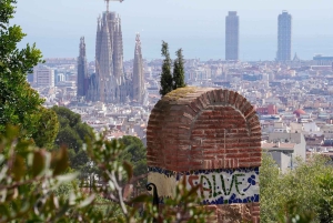 Barcelona: tour guiado por el Parque Güell con ticket de entrada sin colas