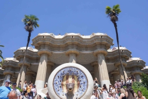 Barcelona: Guidad tur i Park Güell med förtur i kön