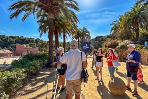 Barcelona: Guidet tur i Park Güell med Skip the Line-billett