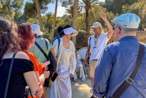 Barcelona: Guidet tur i Park Güell med Skip the Line-billett