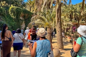 Barcelona: Guidet tur i Park Güell med Skip the Line-billett