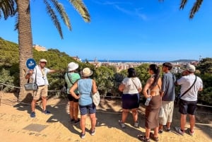 Barcelona: Guidet tur i Park Güell med Skip the Line-billett
