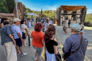 Barcelona: Guidet tur i Park Güell med Skip the Line-billett