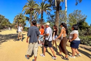 Barcelona: Guidet tur i Park Güell med Skip the Line-billett