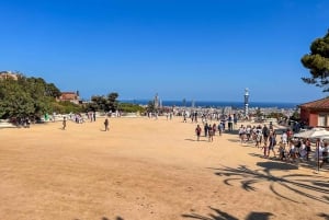 Barcelona: Guidet tur i Park Güell med Skip the Line-billett