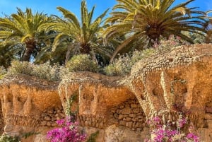 Barcelona: Guidet tur i Park Güell med Skip the Line-billett