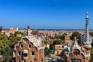 Barcelona: Guidet tur i Park Güell med Skip the Line-billett