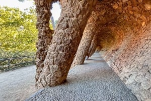Barcelona: Guidet tur i Park Güell med Skip the Line-billett