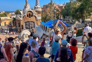 Barcelona: Guidet tur i Park Güell med Skip the Line-billett