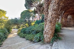 Barcelona: Guidet tur i Park Güell med Skip the Line-billett