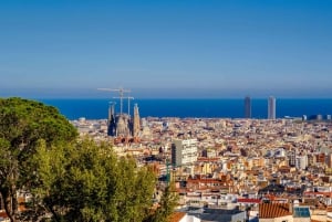 Barcelona: Guidet tur i Park Güell med Skip the Line-billett