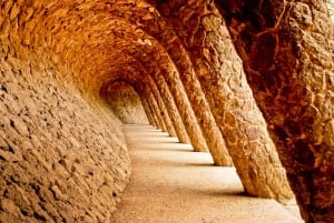 Barcelona: Guidet tur i Park Güell med Skip the Line-billett