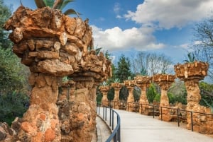Barcelona: Guidet tur i Park Güell med Skip the Line-billett