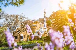 Barcelona: Guidet tur i Park Güell med Skip the Line-billett