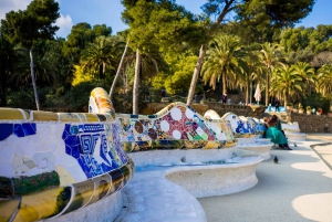 Barcelona: wycieczka z przewodnikiem po Parku Güell