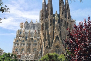 Barcelona & Park Güell: Private Half-Day Tour with Pickup