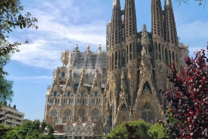 Barcelona & Park Güell: Private Half-Day Tour with Pickup