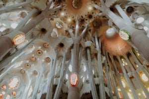 Barcelona: Rondleiding door Park Güell & Sagrada Familia